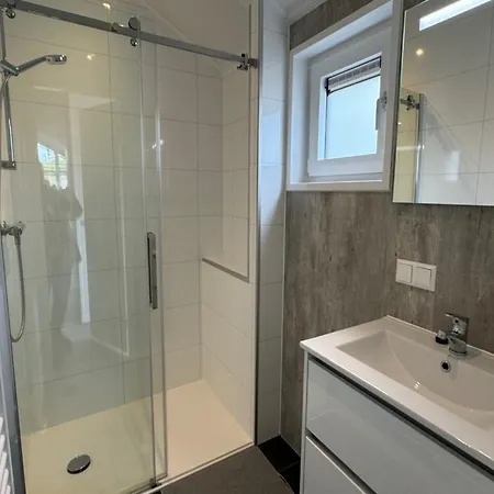 Pet-friendly In *