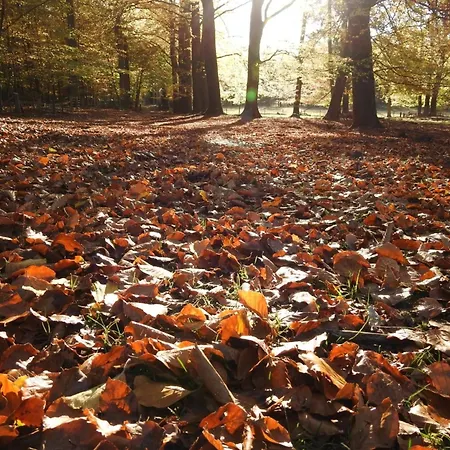Near Hoge Veluwe National Park *