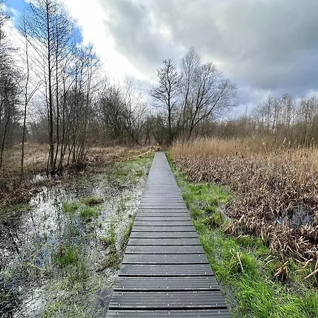 Near Hoge Veluwe National Park Beekbergen