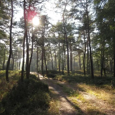 Near Hoge Veluwe National Park Chalet Beekbergen