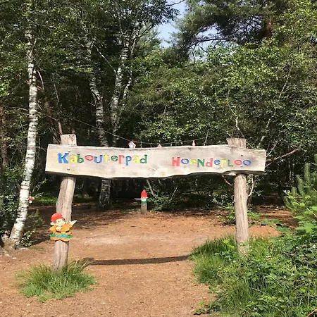 Pet-friendly In