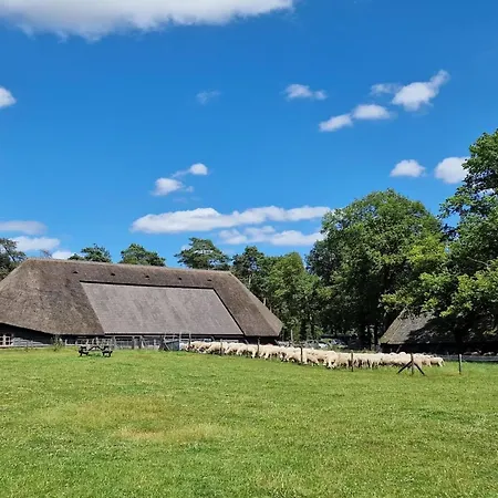 Near Hoge Veluwe National Park *