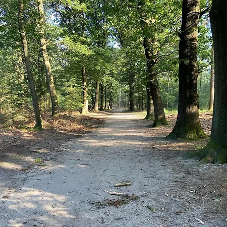 Near Hoge Veluwe National Park Beekbergen